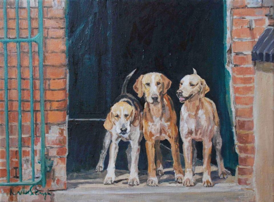 Hounds at the Kennels