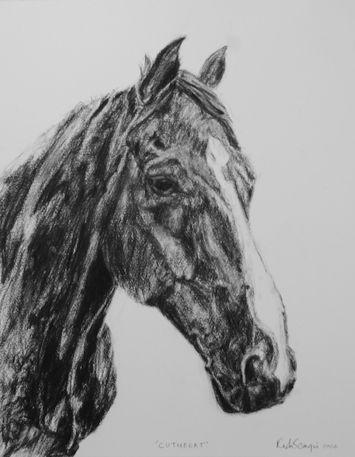 Horse Commission